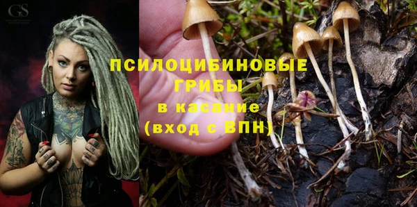 COCAINE Переславль-Залесский