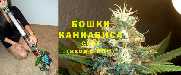 прущие грибы Воткинск