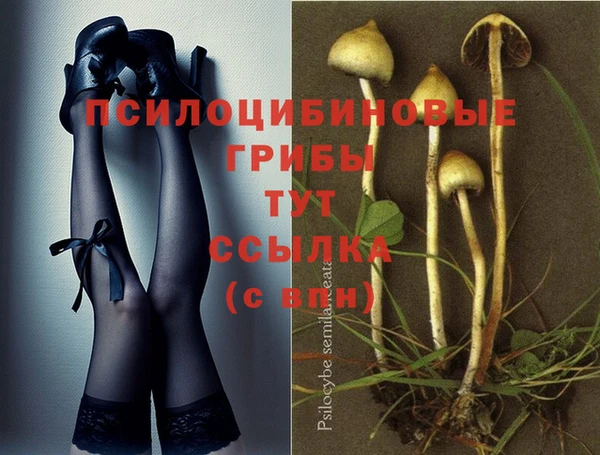 прущий лед Осинники