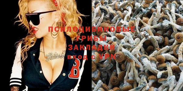 COCAINE Переславль-Залесский