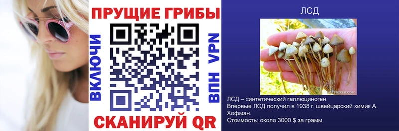 Псилоцибиновые грибы GOLDEN TEACHER  нарко площадка официальный сайт  Кудымкар  цены  