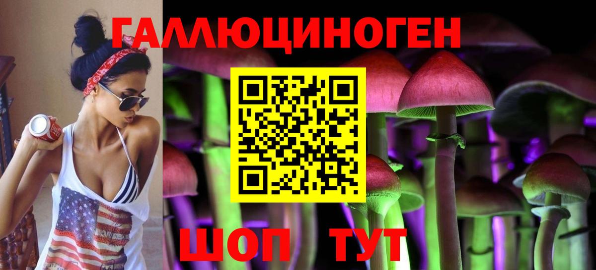 Псилоцибиновые грибы Psilocybine cubensis Кудымкар